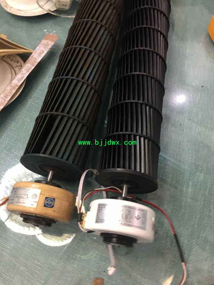 20190226_153515_016.jpg