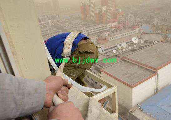 175404wgw0wmg8pz7y52a7.jpg