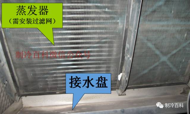 adee9db514266493a58ee0a1b2949571.jpg