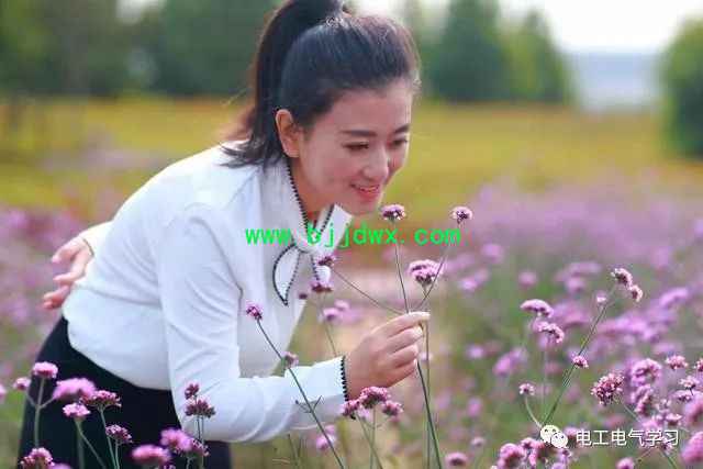 f03b6aa1cb656c0b62416ac8c34daff0.jpg