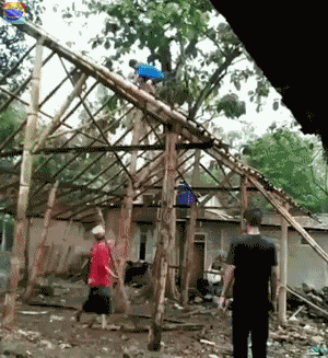 9d1e0d7d4fc520d92f3132c281a71601.gif