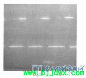 d883dbad33387459fbe7bc5efe9782ea.jpg