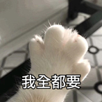 c03e2a1d2d65f112ffd0ebf0c0e31df6.png