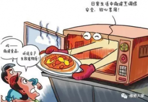 ȷʹ΢¯ʳж