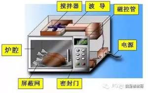 ΢¯Ĺԭά޽Ƶ