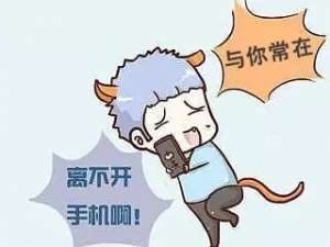 ֻĵ졢ȡٽ