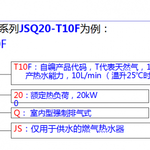 ԻݶϵJSQ20-T10FΪȼˮͺԭ