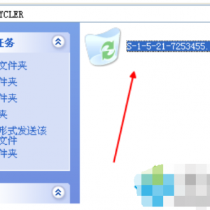 回收站无法清空怎么办图解3.png