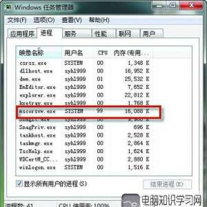mscorsvwռcpu