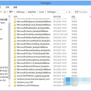 win8Ӧ̵򲻿Ľͼ7