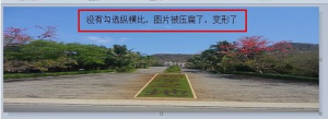 1A92S155-5.png