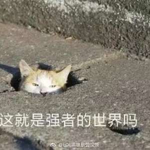 ȷķʽжص