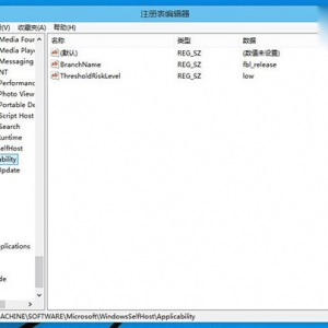 win10רҵעָ̳