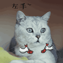 û취ָϵͳ
