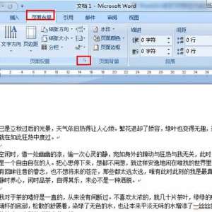 word2007װô
