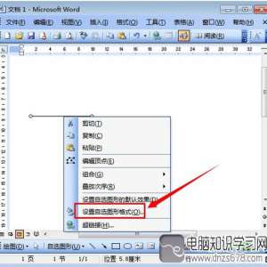 word2003ﻭ