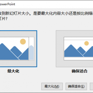 ppt˼