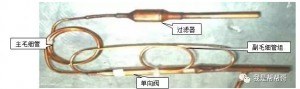 յ鲿޷