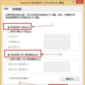 win8Զȡipַ