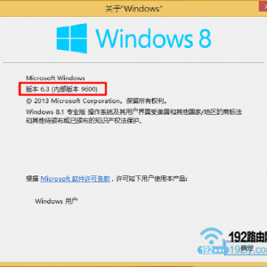 鿴Win8.1ڲ汾