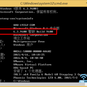 Win8鿴ڲ汾