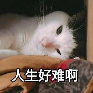 Ӳ޷ʶô޸ڲ