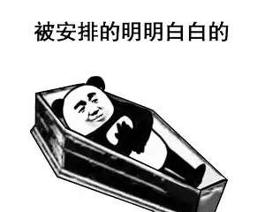 Ѷ·K2ˢָ
