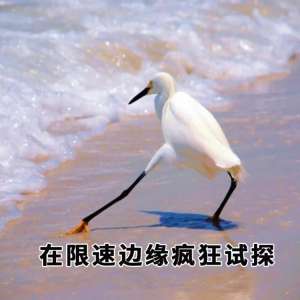 ţƶͨ⻻Яתʵʩ
