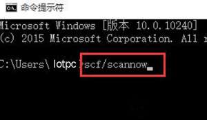 Windows10򲻿ô죿Win10ϵͳ޷򿪿