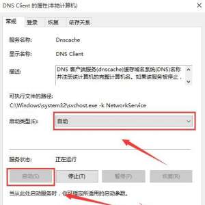 Win10ϵͳµ޷ʾDNSδӦ