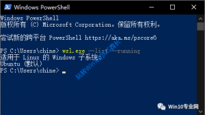 Win10ηLinuxϵͳļ
