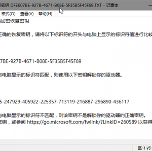 Windows 10 BitLockerԿ4ֳõļɷ
