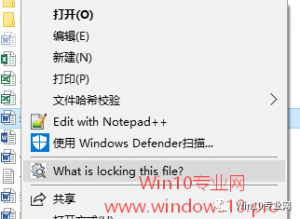 ļʹ޷ɾ/ļLockHunterļռ