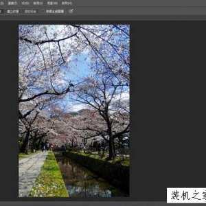 ʹPhotoShopеĶЧ