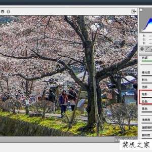 ʹPhotoShopеĶЧ