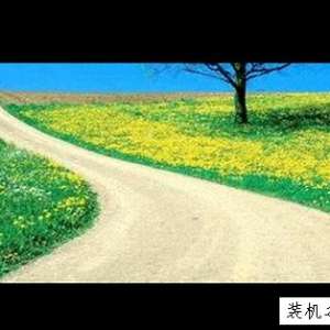 在电脑上用photoshop软件将照片局部去色的方法