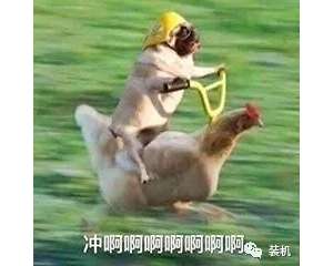 ôõС״붼֪ѹ治Сֻ