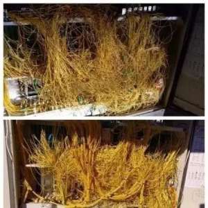 繤ıҪ