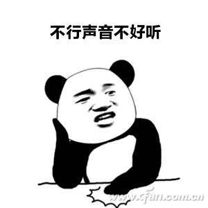 不太引人注意的麦克风权限选项导致麦克风没声音