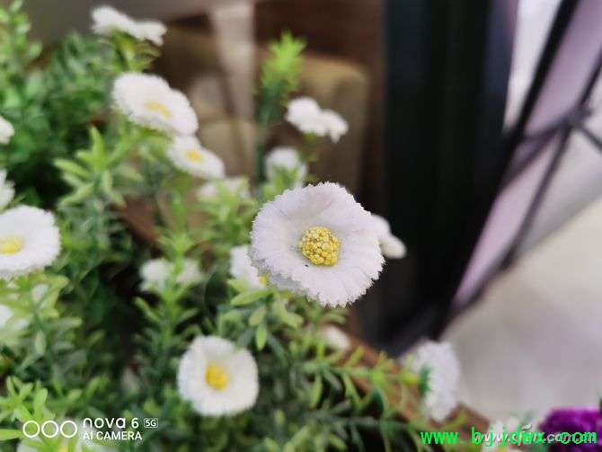 IMG_20191224_185657