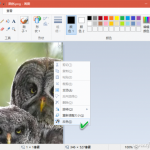 Windows 10ͼһΪӵͼ