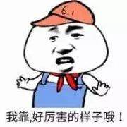 src=http_//imgsa.baidu.com/baike/pic/item/d0c8a786c9177f3e8cad013179cf3bc79f3d56.jpg