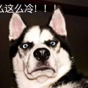 ֻô죿ֻ˽㼸