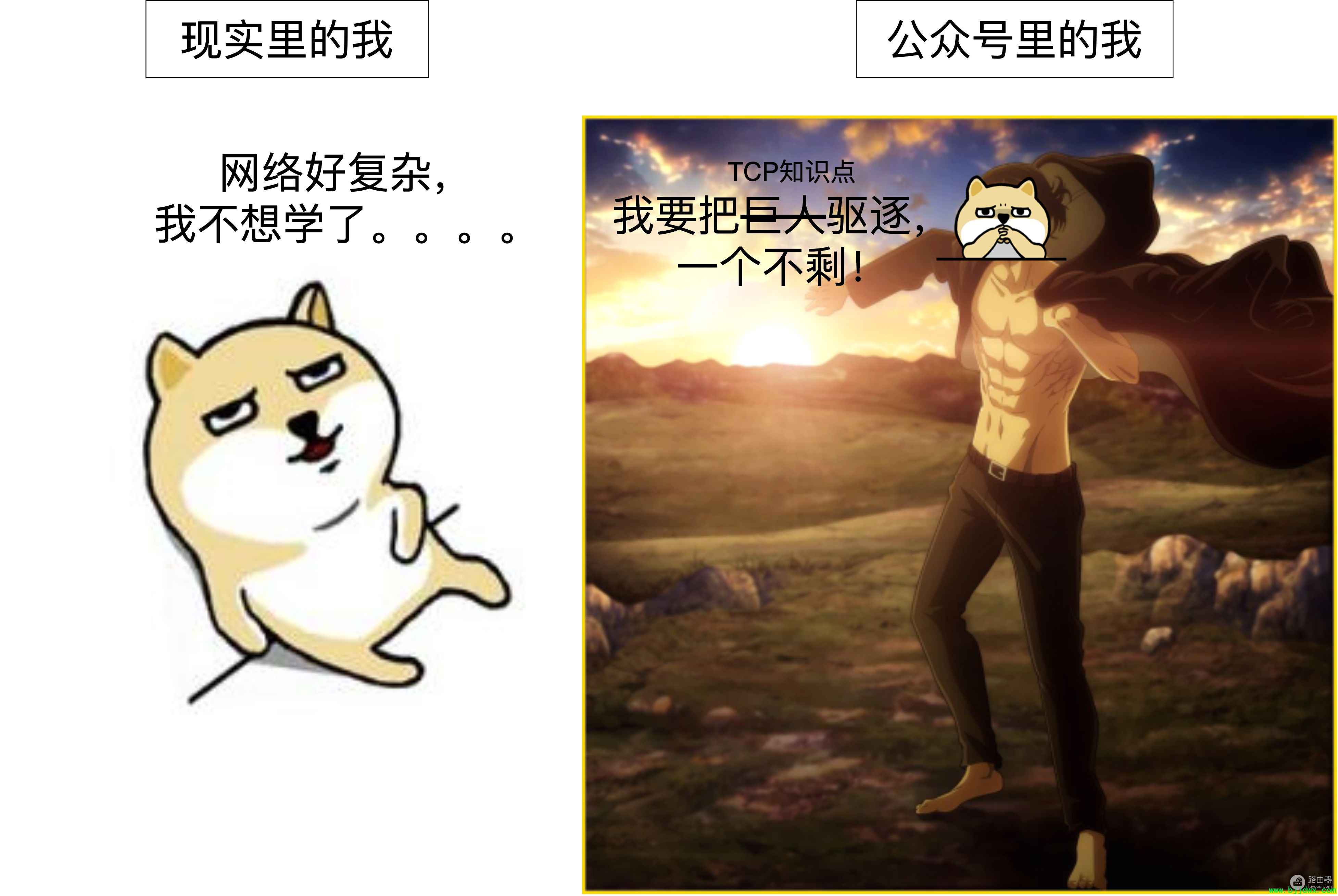 30张图带你搞懂路由器，集线器，交换机，网桥，光猫有啥区别？