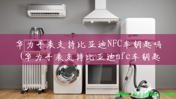 华为手表支持比亚迪NFC车钥匙吗(华为手表支持比亚迪nfc车钥匙吗知乎)