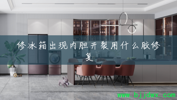 修冰箱出现内胆开裂用什么胶修复