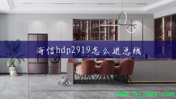 hdp2919ô