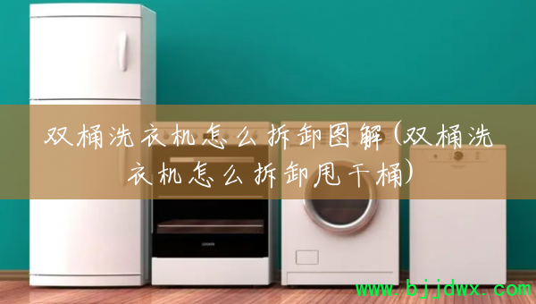 ˫Ͱϴ»ôжͼ(˫Ͱϴ»ôж˦Ͱ)