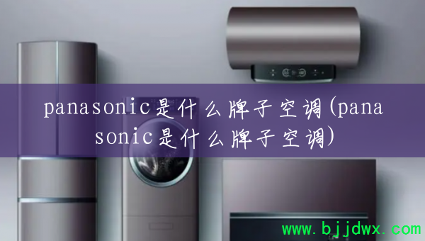 panasonicʲôӿյ(panasonicʲôӿյ)