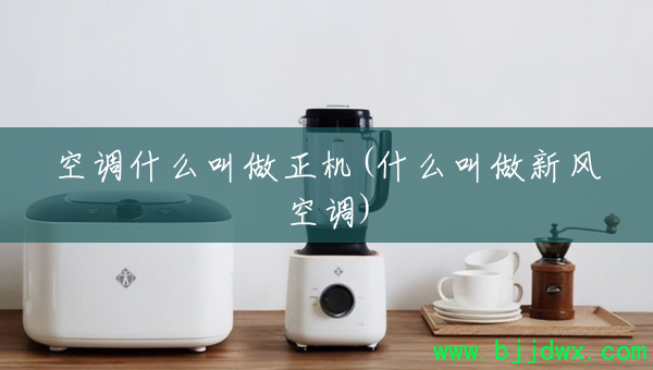 յʲô(ʲô·յ)